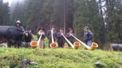Gschneitz Tirol Gschneitz Tirol
